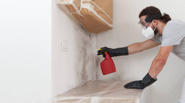 Professional Attic Mold Remediation technician working in Ellenton, FL